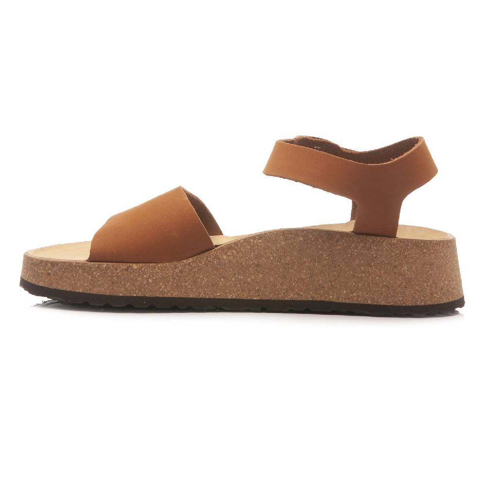 Papillio Glenda 1020042 Offerta